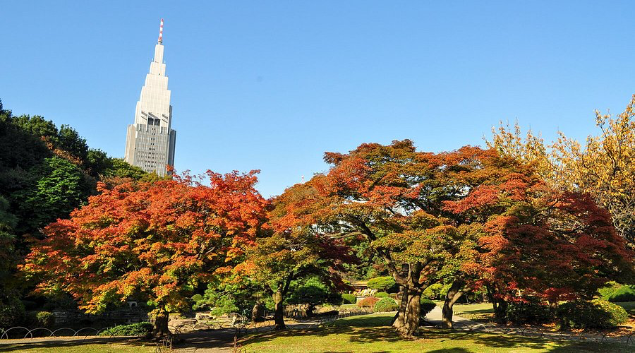 新宿御苑