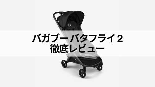 バタフライ２アイキャッチ