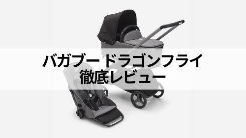 ドラゴンフライアイキャッチ